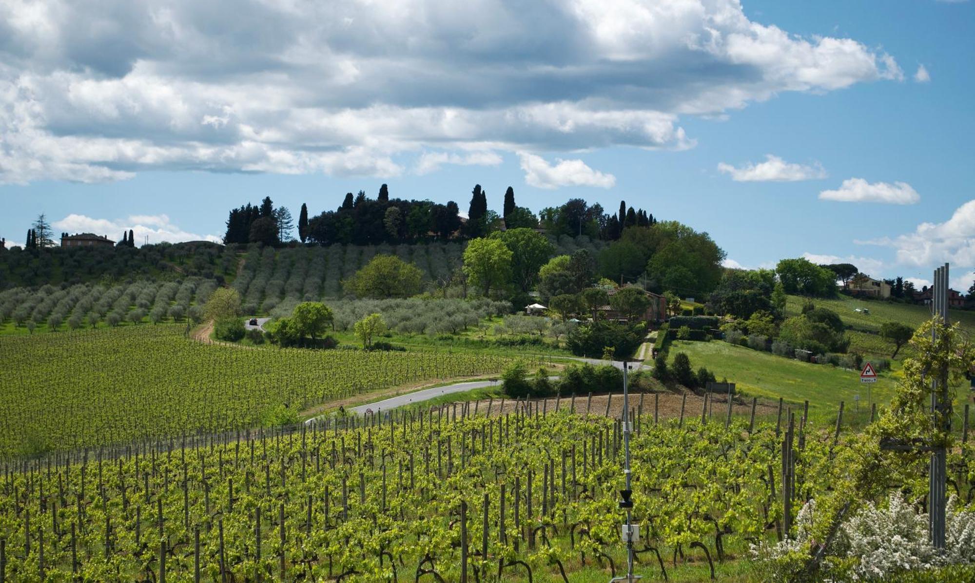 Villa Il Castagno Wine & Resort Siena Dış mekan fotoğraf